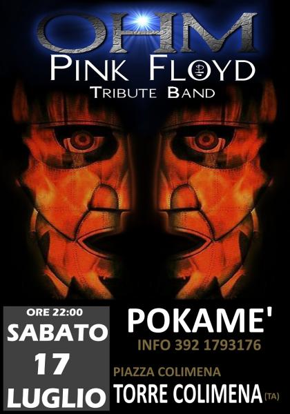 OHM PINK FLOYD