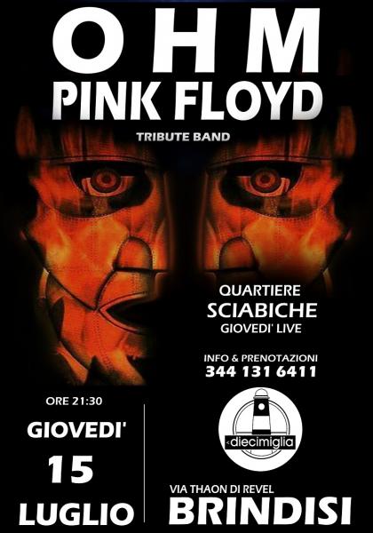 OHM PINK FLOYD
