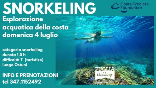 SNORKELING Esplorazione acquatica della costa