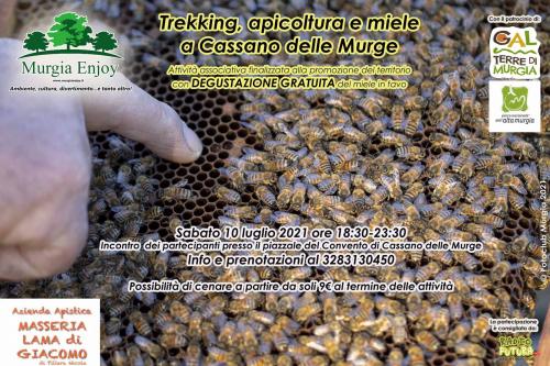 Trekking, apicoltura e miele a Cassano delle Murge