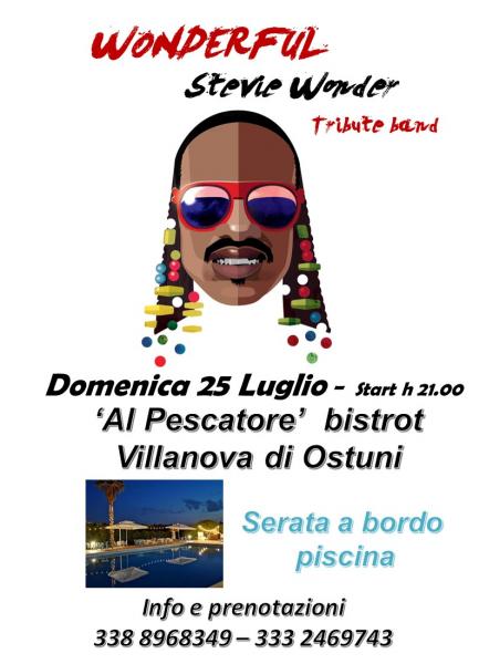 WONDERFUL - Stevie Wonder tribute band