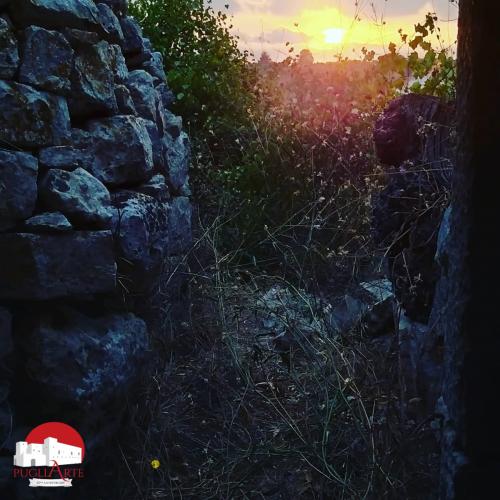 Puglia Archeo – Trekking – Lama Fascinella Bitritto