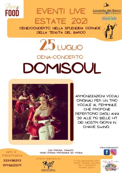 Domisoul