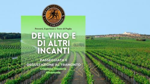 Del vino e di altri incanti