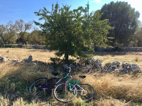 Sui Passi della Musica a Masseria Giovannella