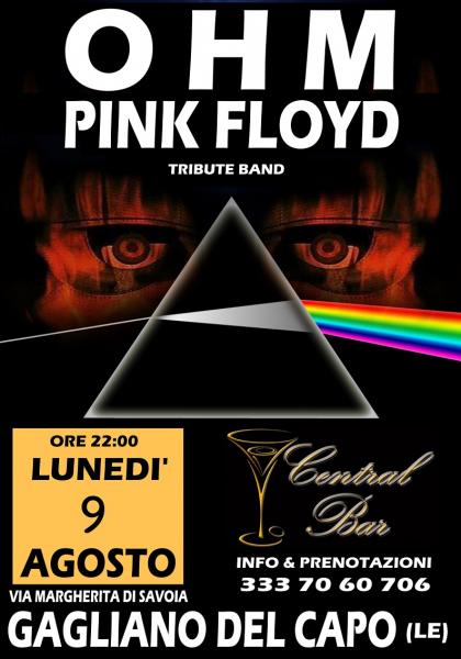 OHM PINK FLOYD