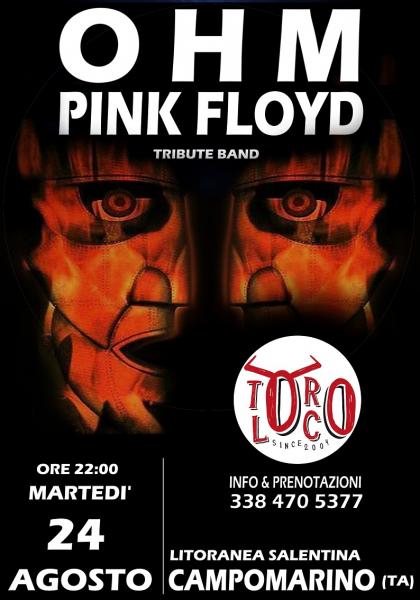 OHM PINK FLOYD