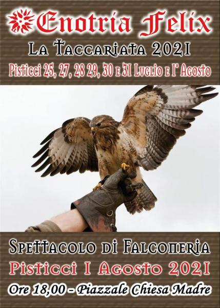 SPETTACOLO DI FALCONERIA