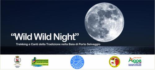 "Wild Wild Night". Trekking e Canti della Tradizione nella Baia di Porto Selvaggio.