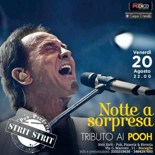 Notte a Sorpresa - Tributo ai Pooh a Bisceglie Strit Strit
