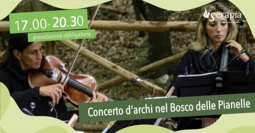Concerto d’archi nel bosco al chiaro di luna