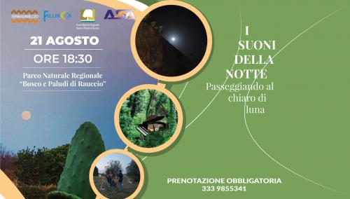 I SUONI DELLA NOTTE. Passeggiando al chiaro di luna