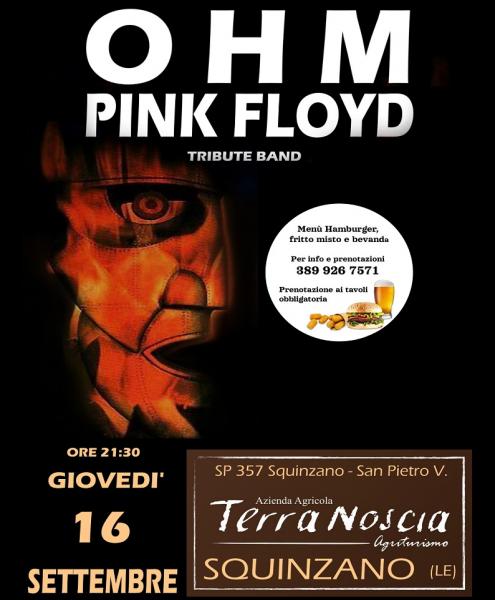OHM PINK FLOYD