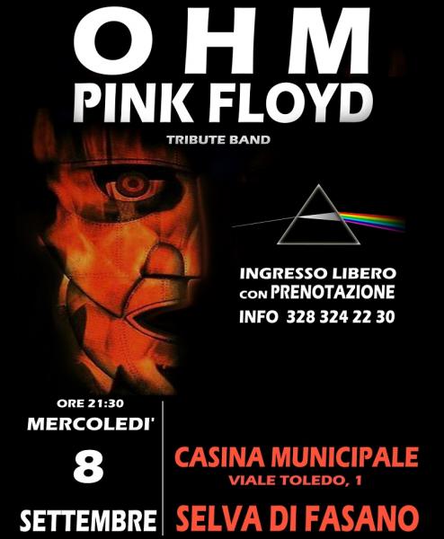OHM PINK FLOYD