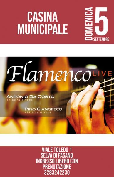 Flamenco live