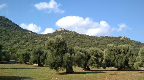 Trekking del “Cristo della Panoramica” al tramonto