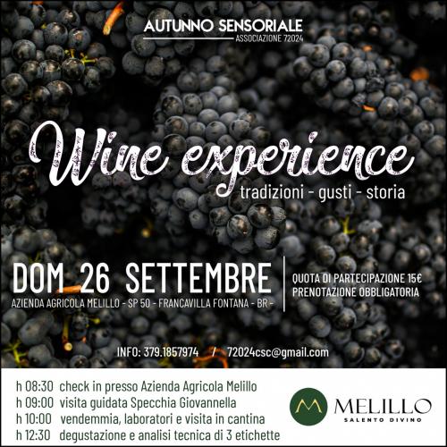 WINE EXPERIENCE. Tradizioni-gusti-storia.