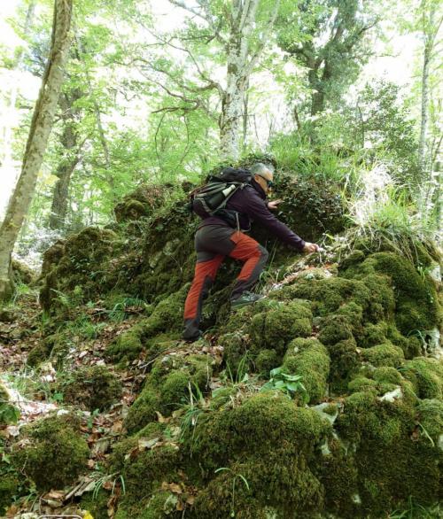 Puglia Archeo Trekking - Foresta Umbra Experience