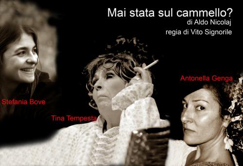 MAI STATA SUL CAMMELLO?