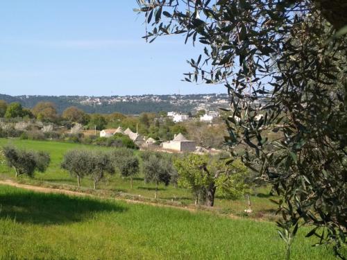 Sospesi tra l’Adriatico e la Valle d’Itria