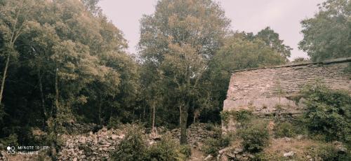 Puglia ArcheoTrekking - Il bosco delle Pianelle