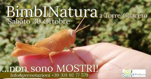 Non (sono) Mostri. Avventura in natura a Torre Guaceto