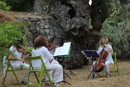 Concerto d’archi, musica e natura in giardino