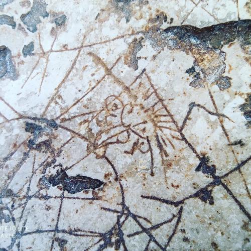 Puglia ArcheoTrekking - Il bosco delle meraviglie di Acquatetta