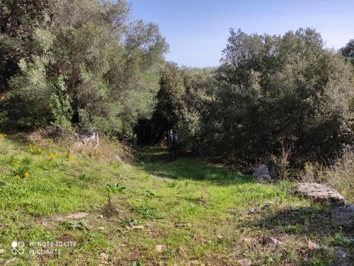 Puglia Archeo Trekking – Il bosco di Marcedd
