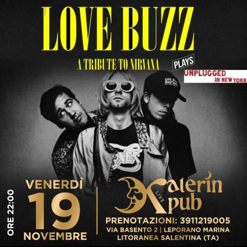 Love Buzz A Tribute to Nirvana live Unplugged in New York