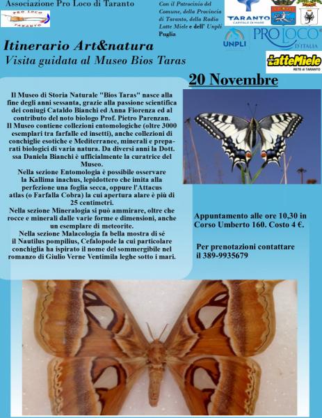 Visita guidata al Museo Bios Taras