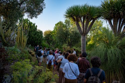FESTA DELL’ALBERO in giardino