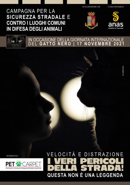 Velocità e distrazione i veri pericoli della strada. Questa non è una leggenda”