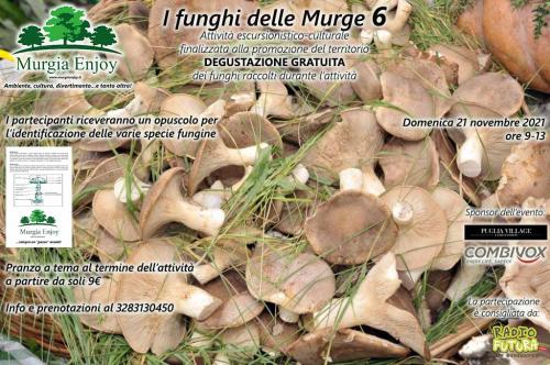 I funghi delle Murge 6 con Murgia Enjoy