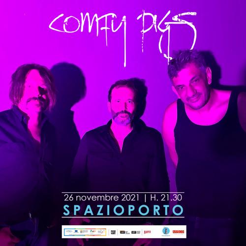 COMFY PIGS live