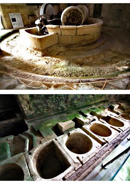 Il frantoio semi-ipogeo di Palazzo Sciurti
