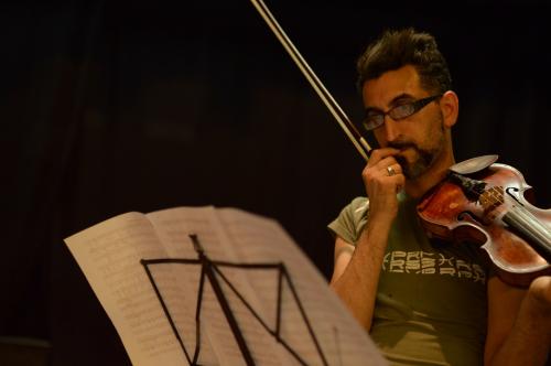 Violino per un anno