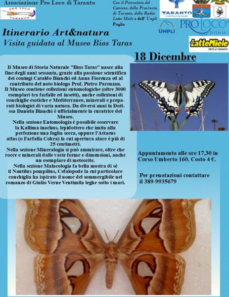 Visita guidata al Museo Bios Taras