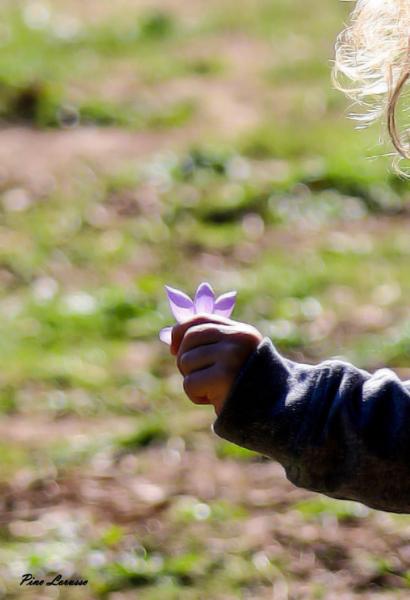 Puglia ArcheoTrekking Family alla Foresta di Mercadante