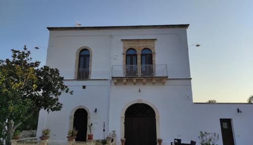 Passeggiata letteraria nell’oliveto e pranzo in masseria