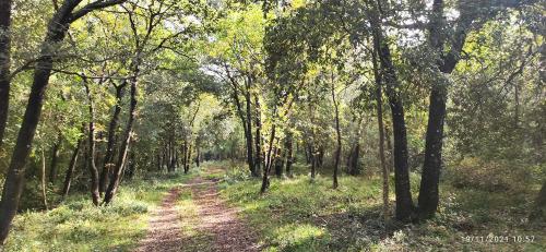 Puglia ArcheoTrekking - il Bosco di Sant'Antuono