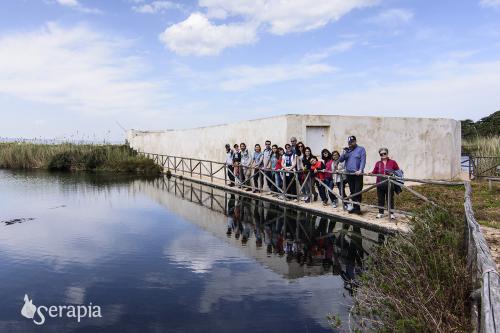 Dagli olivi monumentali al mare nel Parco Dune Costiere