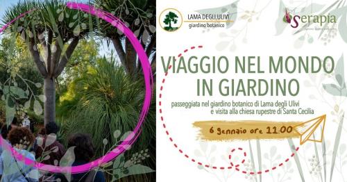 Epifania nel Giardino Botanico di Lama degli Ulivi