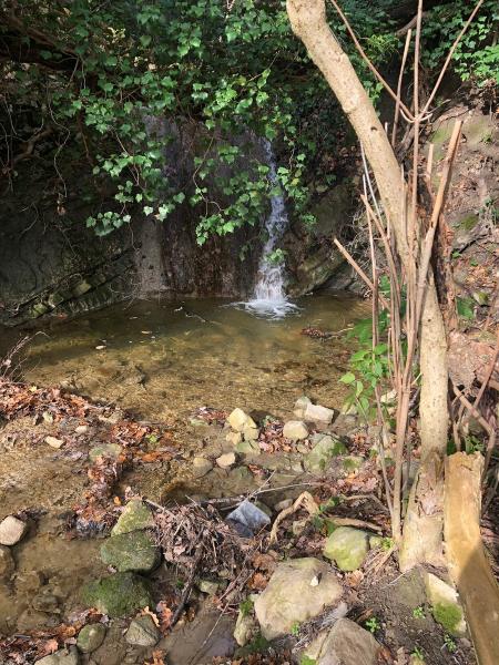Escursione “Cascata del Macinando” per scoprire il turismo lento