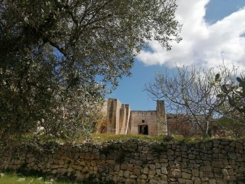 Di Cava in Cava