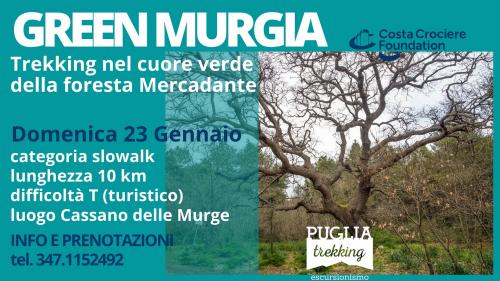 GREEN MURGIA Trekking nel cuore verde della Foresta Mercadante