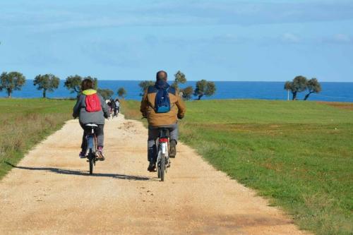 In bici nel Parco Regionale delle Dune Costiere