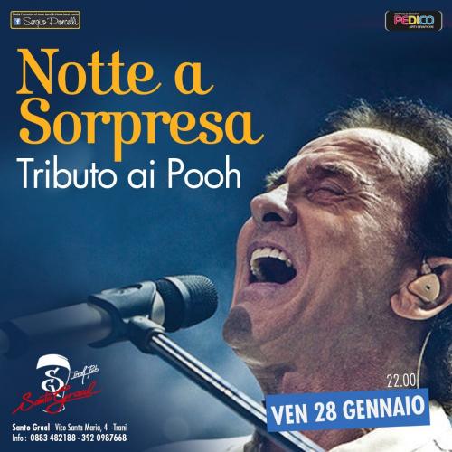 Notte a Sorpresa - Tributo ai Pooh a Trani
