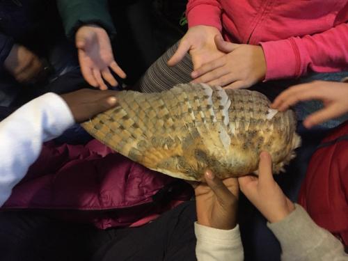 NATURA IN CITTA', conversazioni sulla biodiversità della Murgia