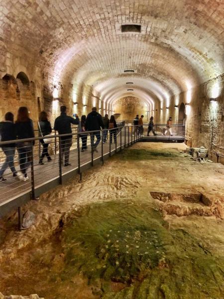 "Attraverso il Castello", Progetto di Valorizzazione del "Carlo v"